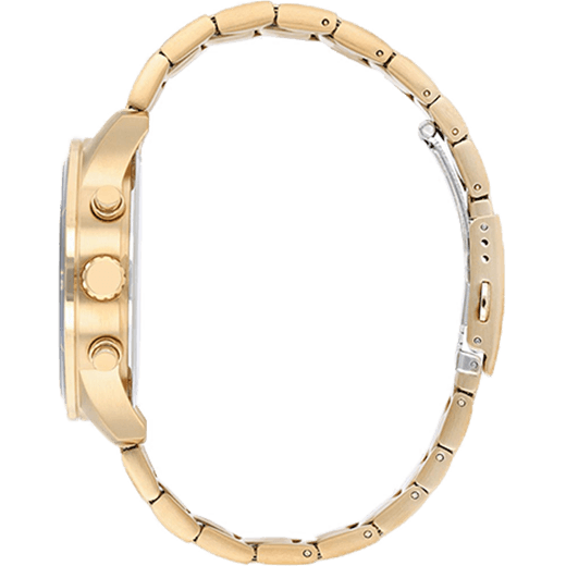 Collection-an8169-58l-1-